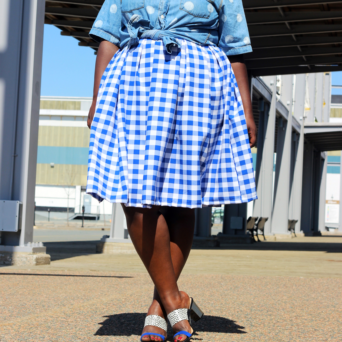 plus size canadian blog plus style print skirt gingham 03